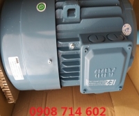 ĐỘNG CƠ ABB M2BAX IE2  160MLB 4 - 20HP