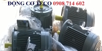 ĐỘNG CƠ MẶT BÍCH  TECO  AESU1S -4P- 30HP-380/660V-IE1