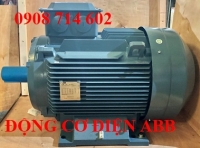 ĐỘNG CƠ ABB M2BAX IE2 225SMA 2  - 60HP
