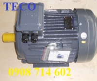 ĐỘNG CƠ CHÂN ĐẾ TECO  AESV1S -4P- 10HP-380/660V-IE1