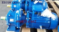 ĐỘNG CƠ GIẢM TỐC TECO MOTO VARIO  YTALIA-HA42-1HP-1/5-220/80V
