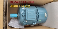 ĐỘNG CƠ ABB M2BAX IE2  132SA 4 - 7.5HP